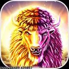 细分用户市场定制